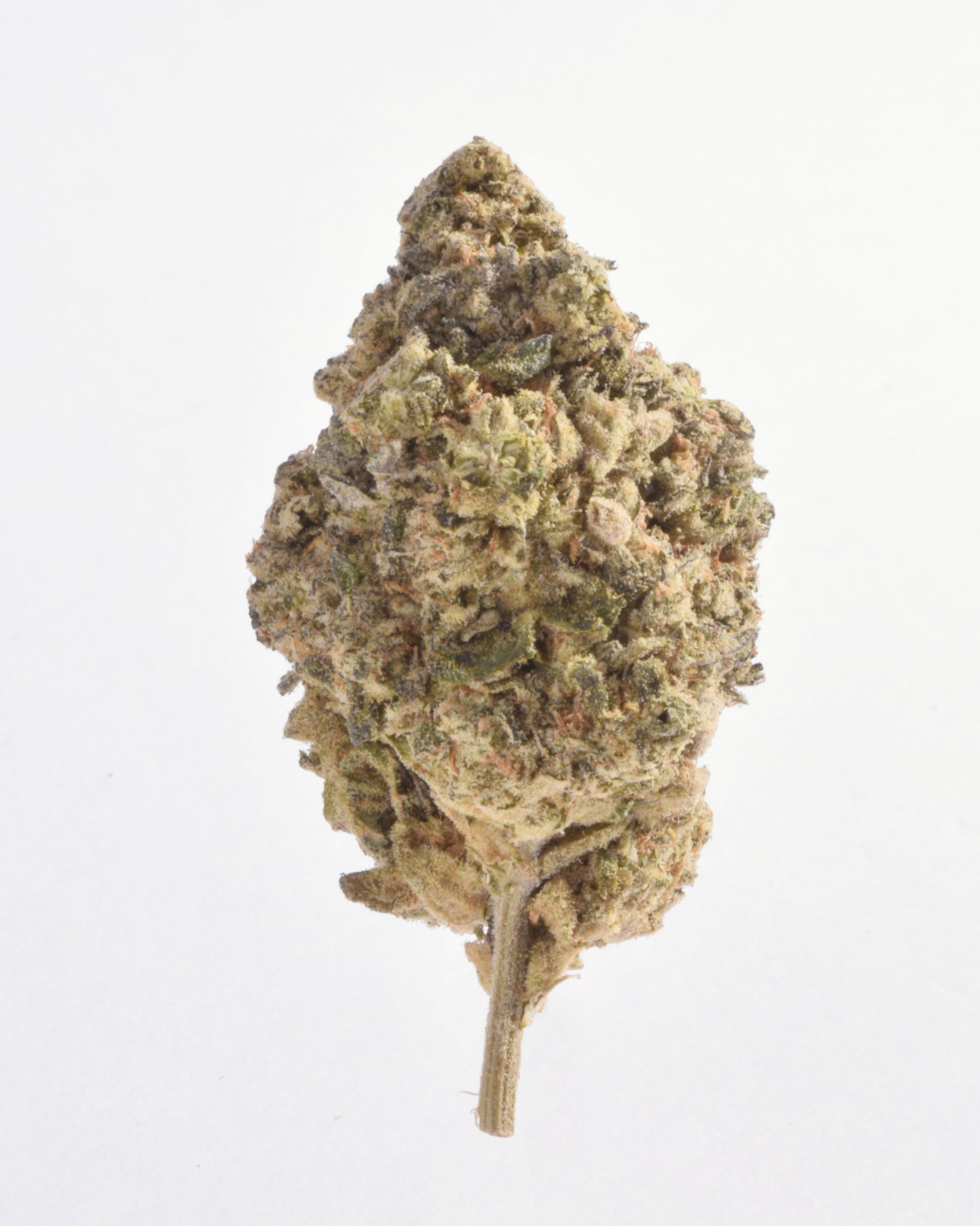 Quality Testing Jet Fuel COA