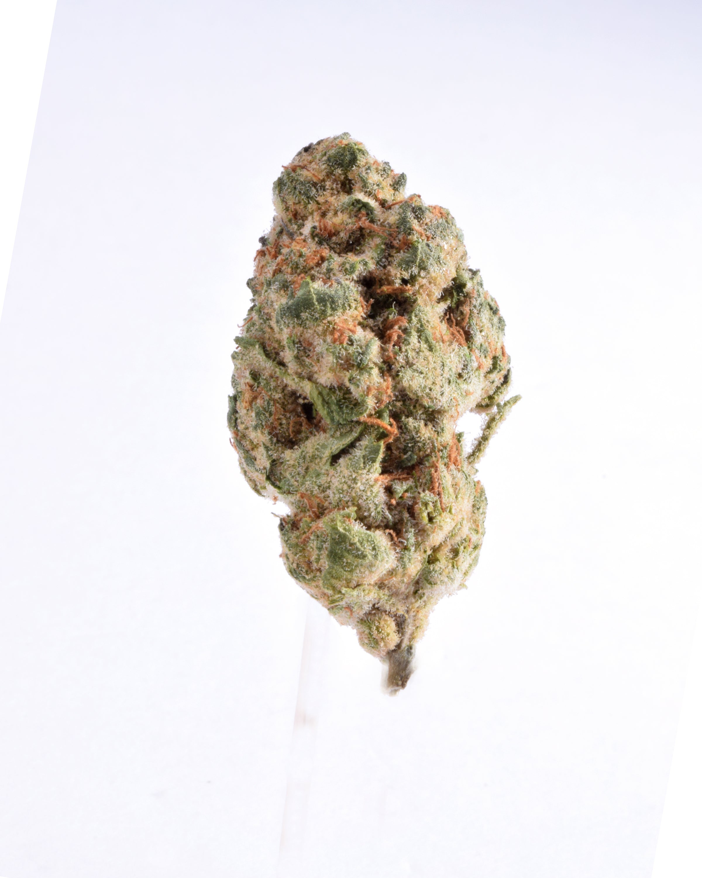 Quality Testing Bananaconda COA