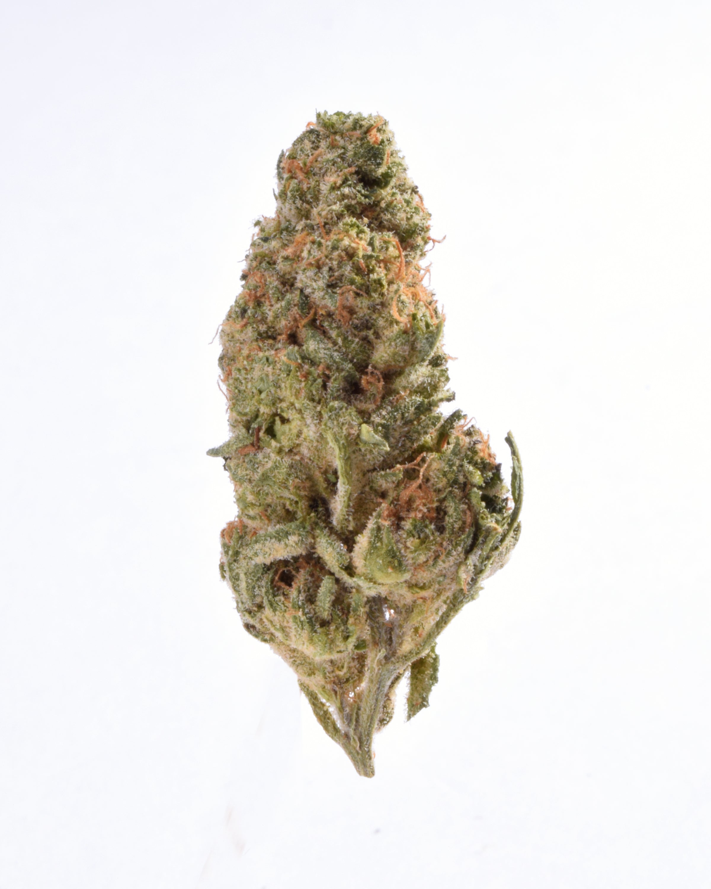 Quality Testing Apple Sherbet COA