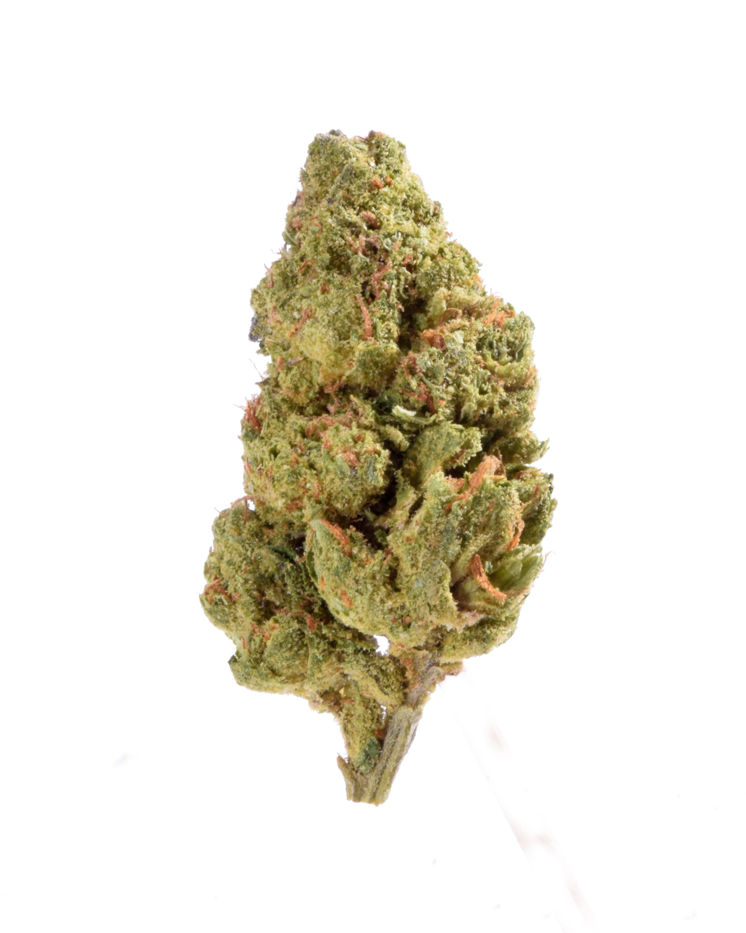 Quality Testing Sunset Sherbet COA