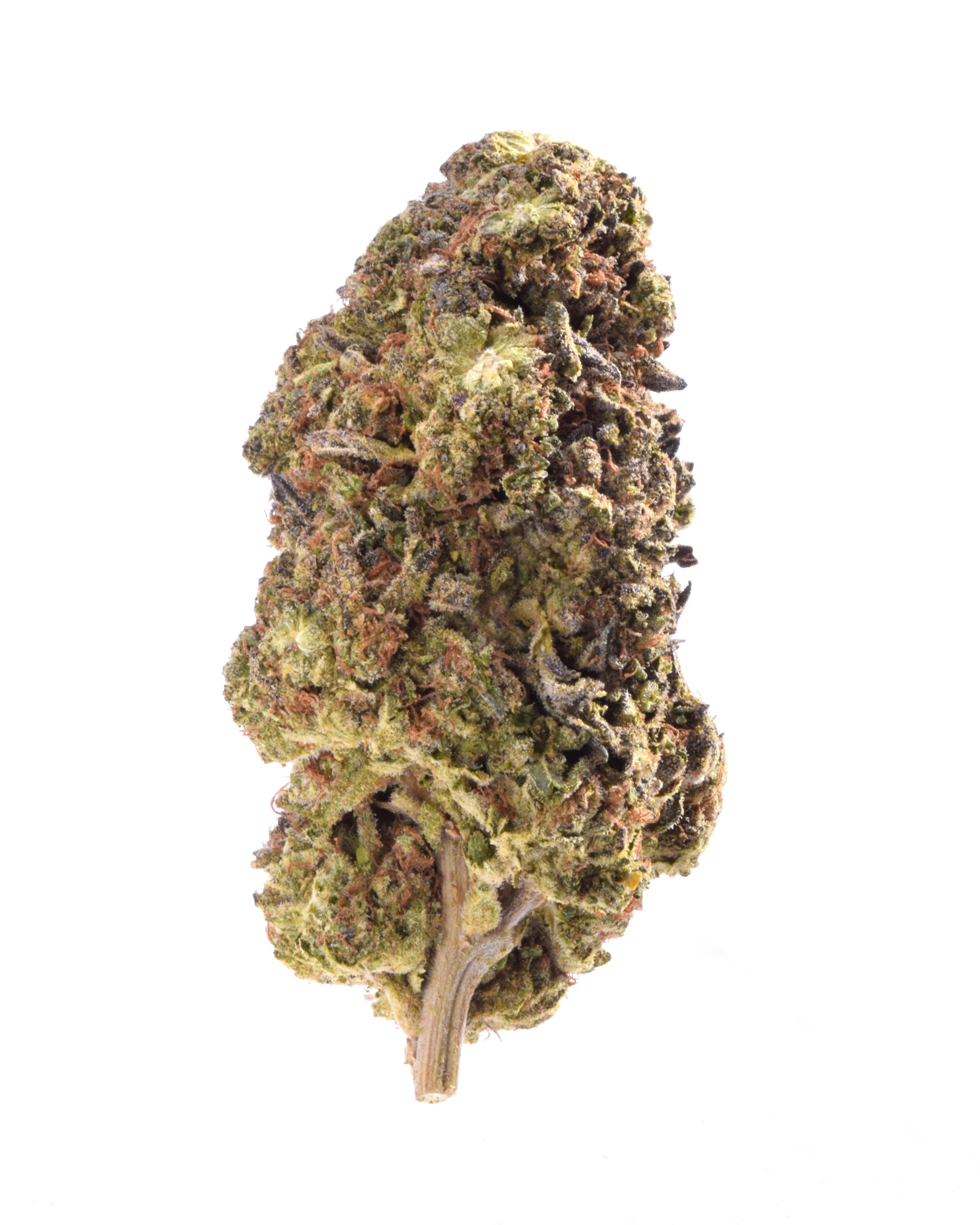 Quality Testing Face Meltz COA