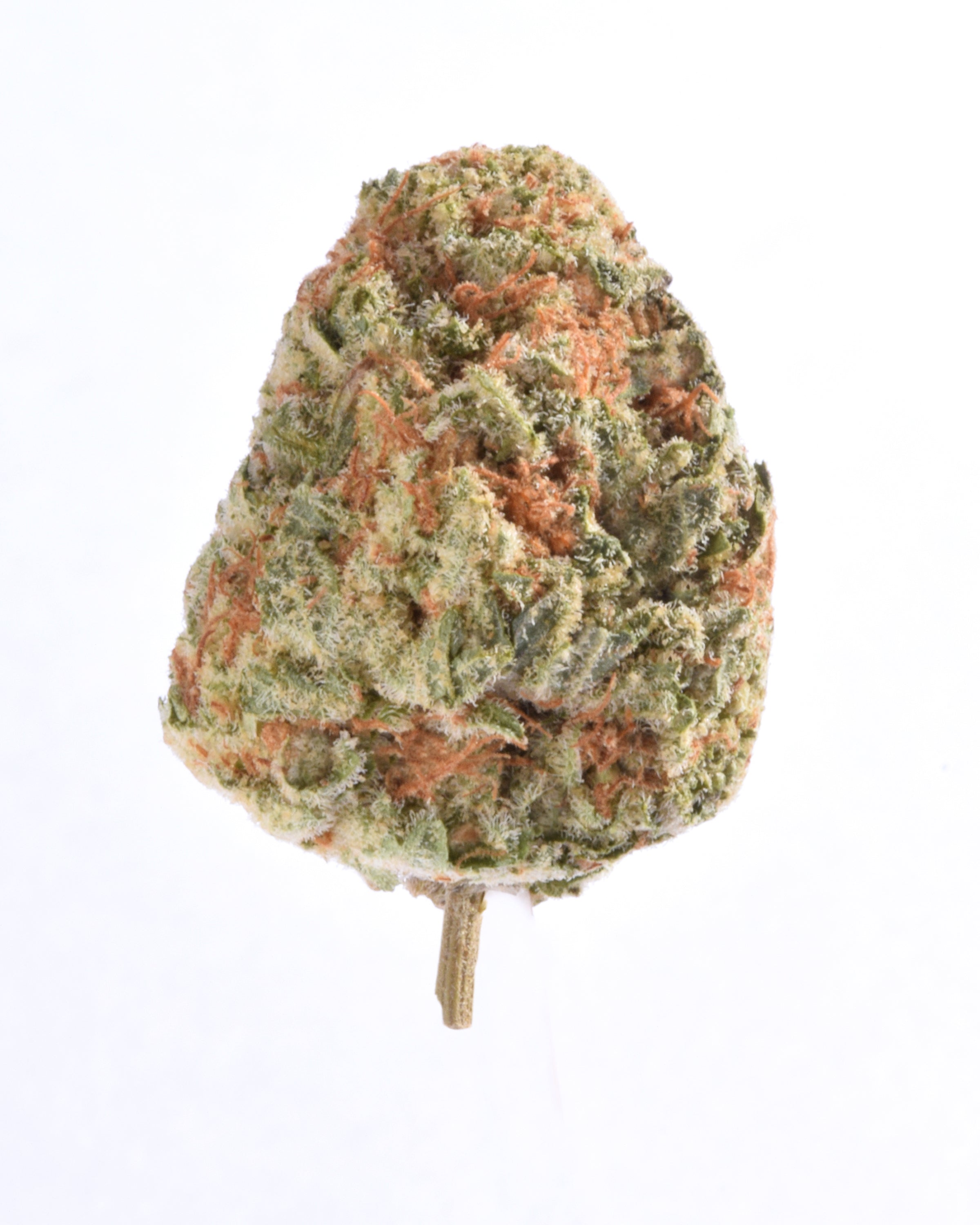 Quality Testing Orange Creamsicle COA