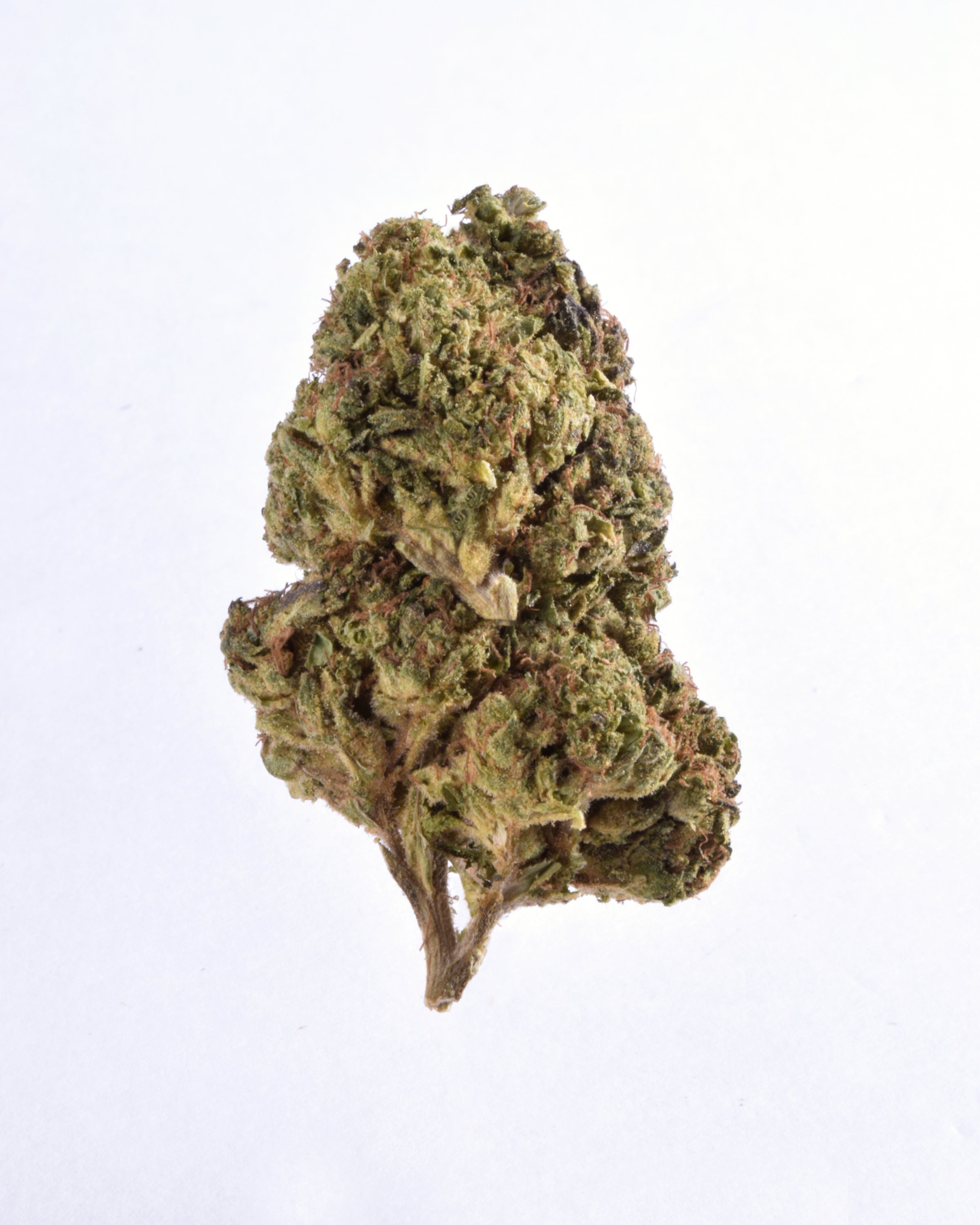 Quality Testing Ghost Train Haze COA