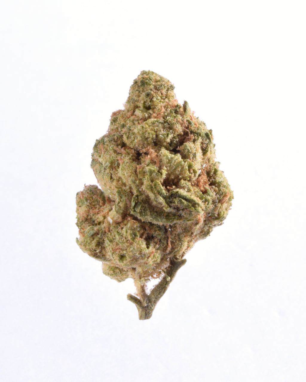 Quality Testing Apple Fritter COA