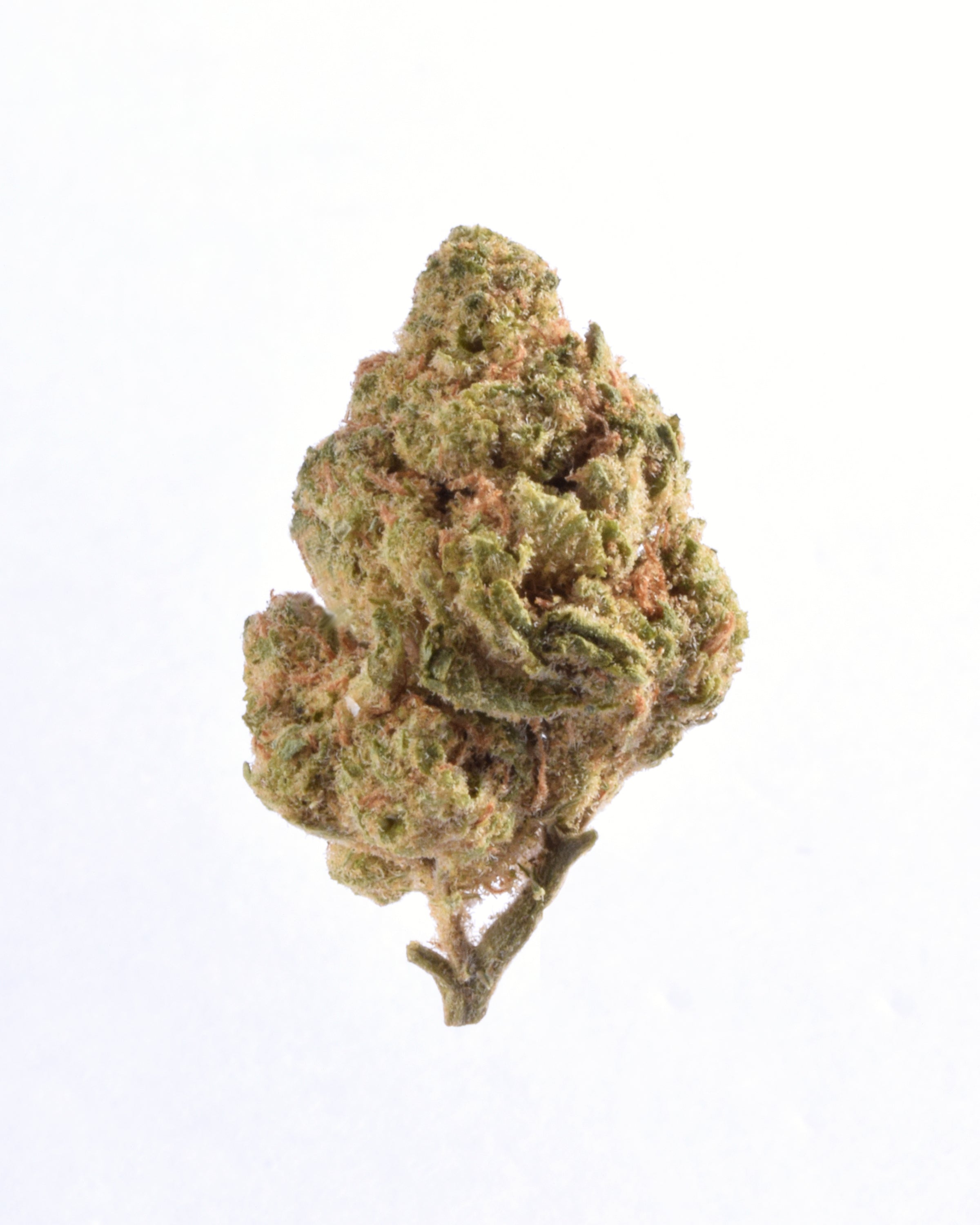 Quality Testing Apple Fritter COA