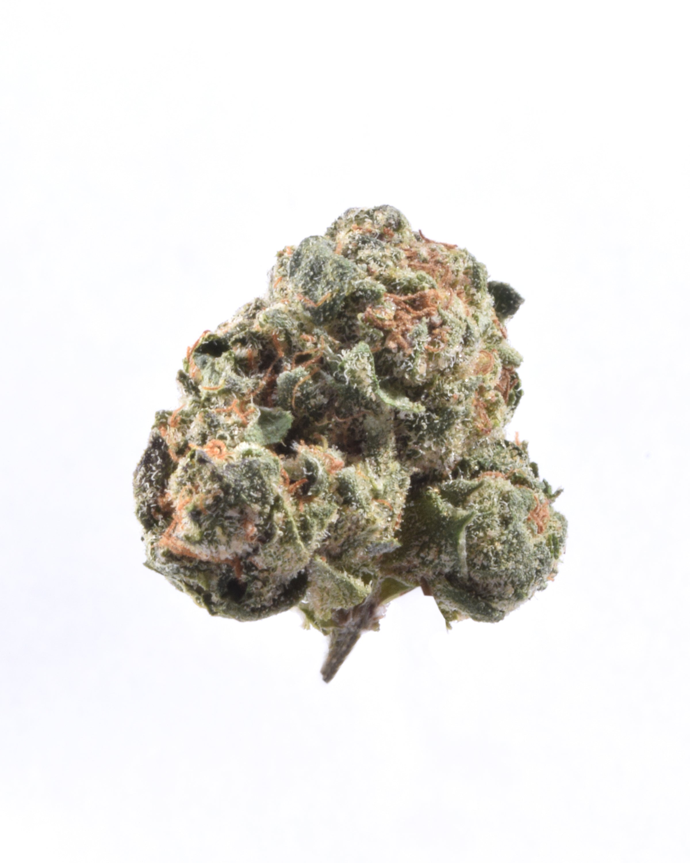 Quality Testing Stardawg Guava COA